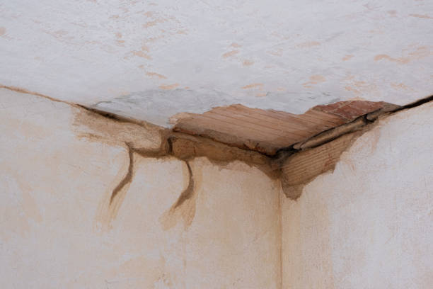 Best Water damage restoration cost  in Pardeeville, WI