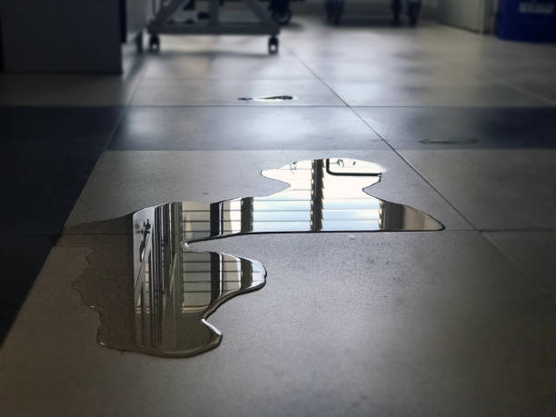 Best Commercial water damage restoration  in Pardeeville, WI
