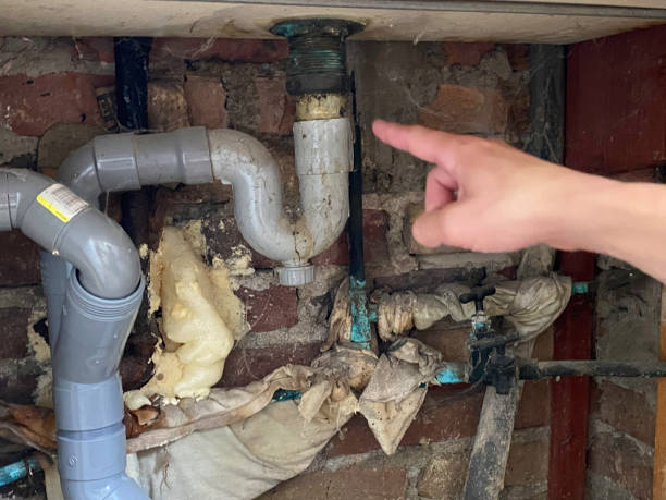 Local water damage restoration in Pardeeville, WI