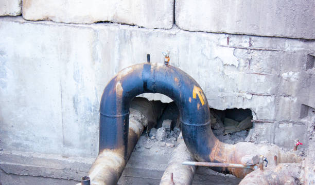 Best Professional water damage repair  in Pardeeville, WI