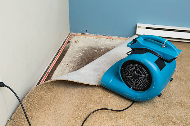 Best Flooded house restoration  in Pardeeville, WI