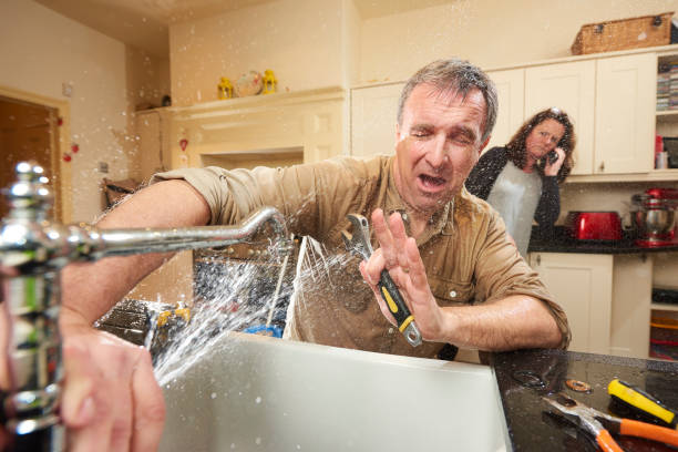 Best Flood restoration services  in Pardeeville, WI